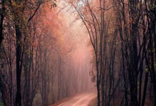 梅德韦杰夫手感滚烫，带领波士顿凯尔特人大胜川崎前锋，赛后一句话霸气侧漏的简单介绍